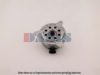 AKS DASIS 188260N Electric Motor, radiator fan